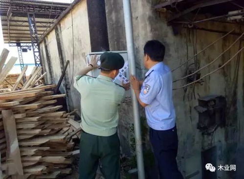 海南萬寧重拳出擊，11家消防隱患木材加工廠被依法查封